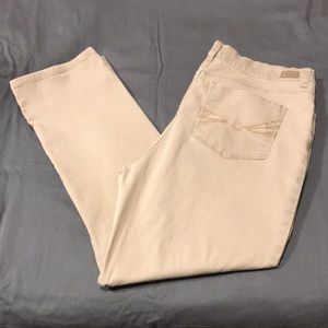Khaki pants